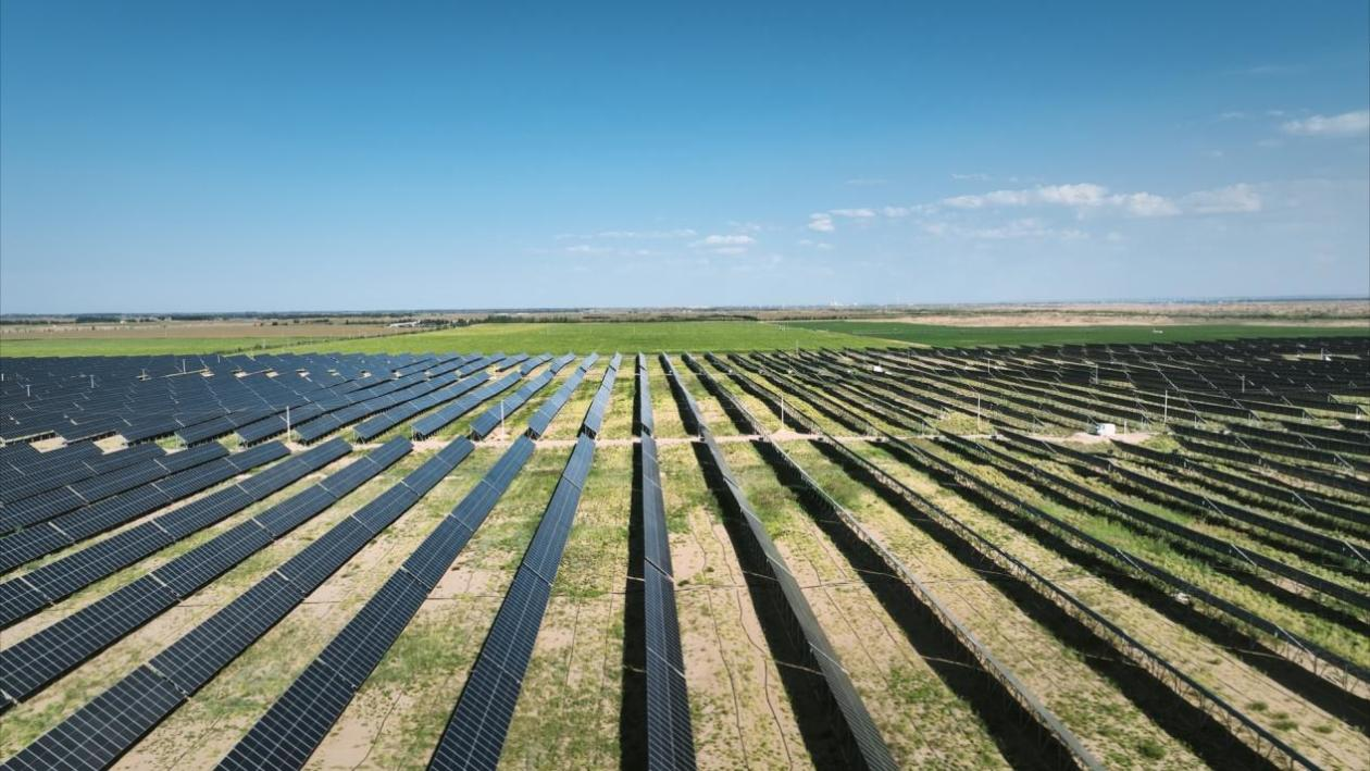 Stake����-�����ɾͷǷ�,����Ʒ������