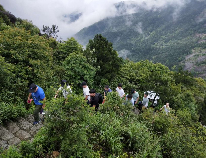 Stake����-�����ɾͷǷ�,����Ʒ������