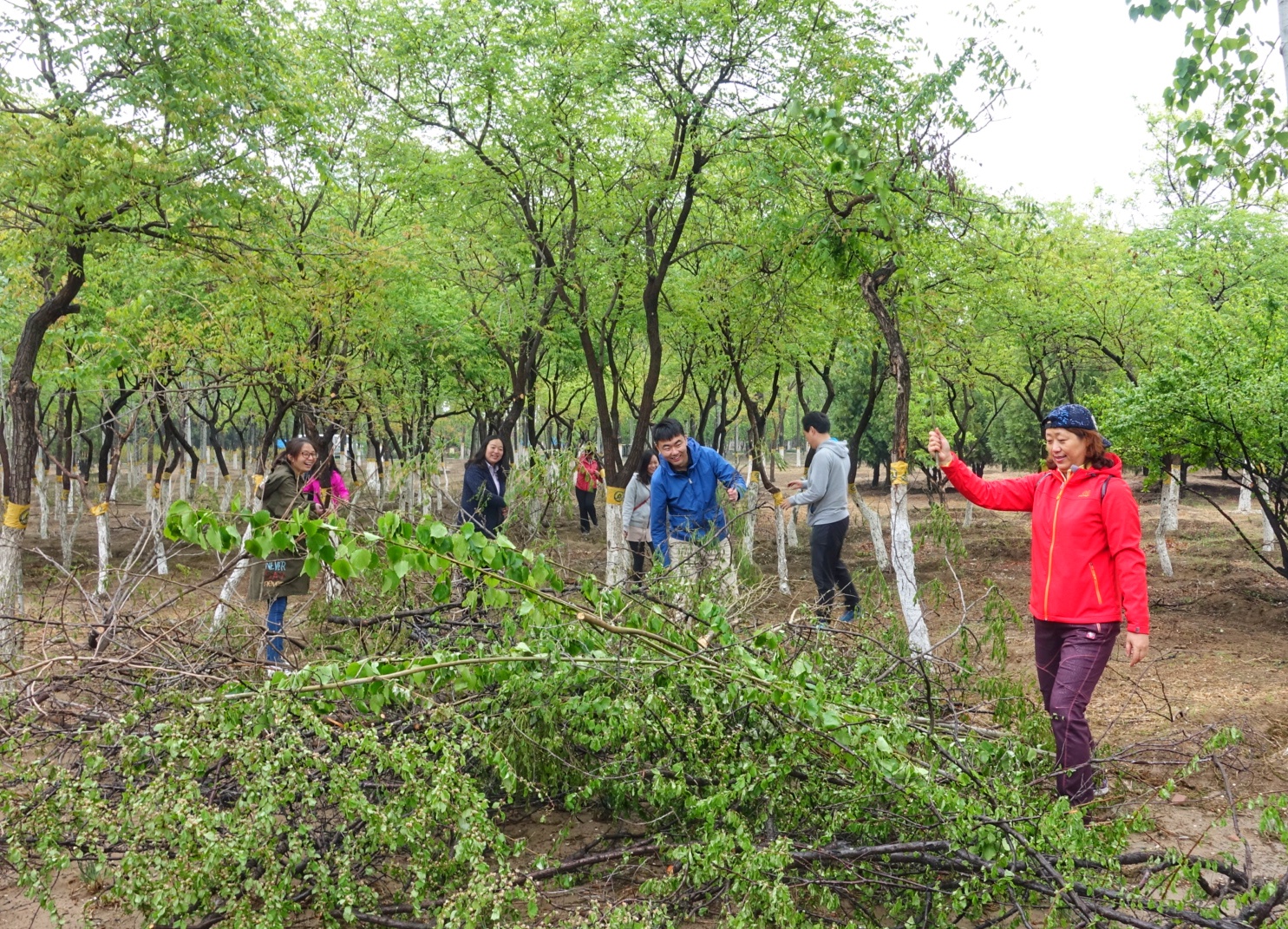 Stake����-�����ɾͷǷ�,����Ʒ������