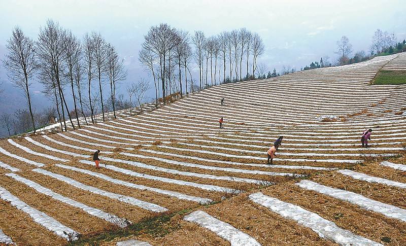 Stake����-�����ɾͷǷ�,����Ʒ������